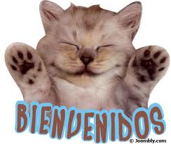 Bienvenida!!!